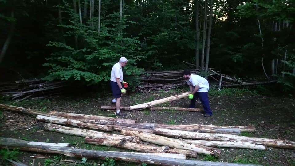 MAST Looking for a quiet life!