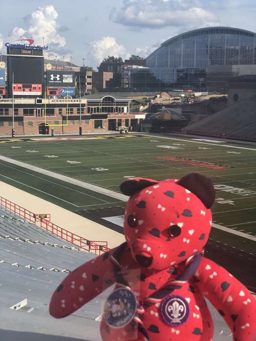 30311c8c_e9a1_4783_a419_5667d404597c